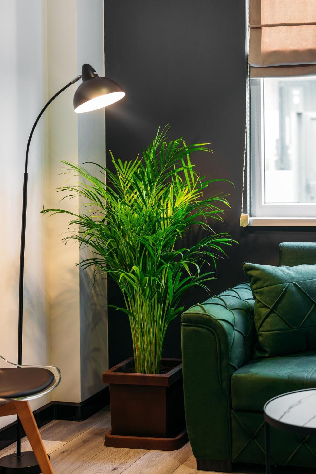 Hotel Timber Boutique